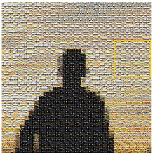 National Geographic Digital Media mosaic