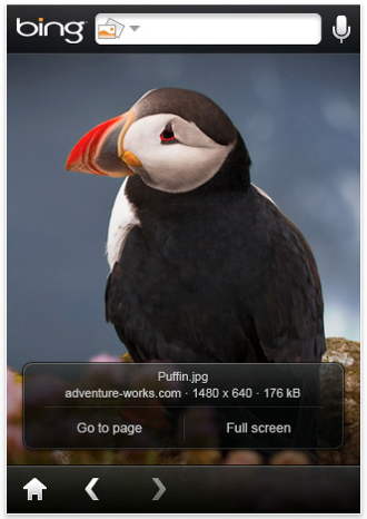 Bing for iPhone 1
