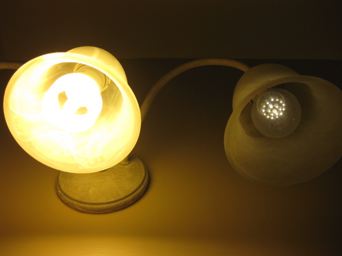 60W Compact Flourescent Bulb versus 40W LED bulb.