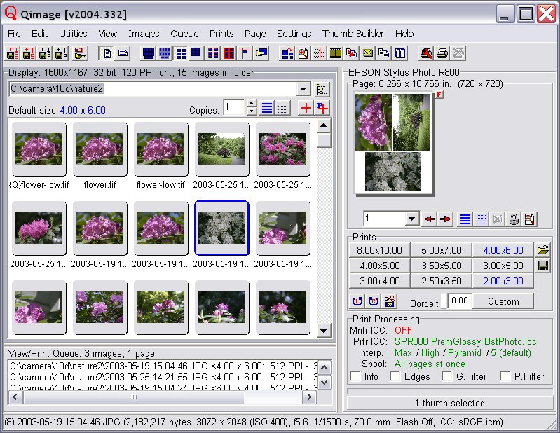 qimage ultimate 2004.308 full download