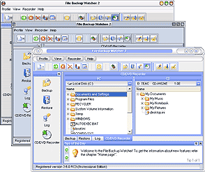 windows server 2008 filewatcher