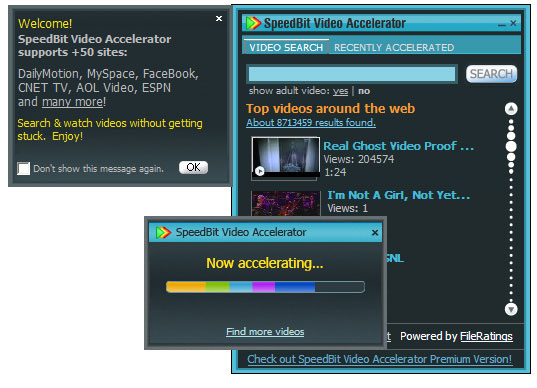 speedbit video accelerator premium torrent