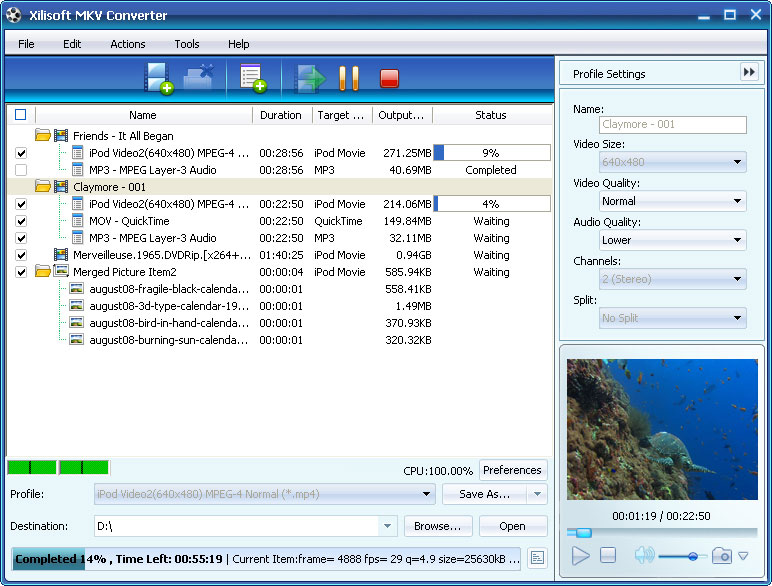 Iskysoft mkv converter что это