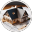 Ashampoo 3D CAD Architecture